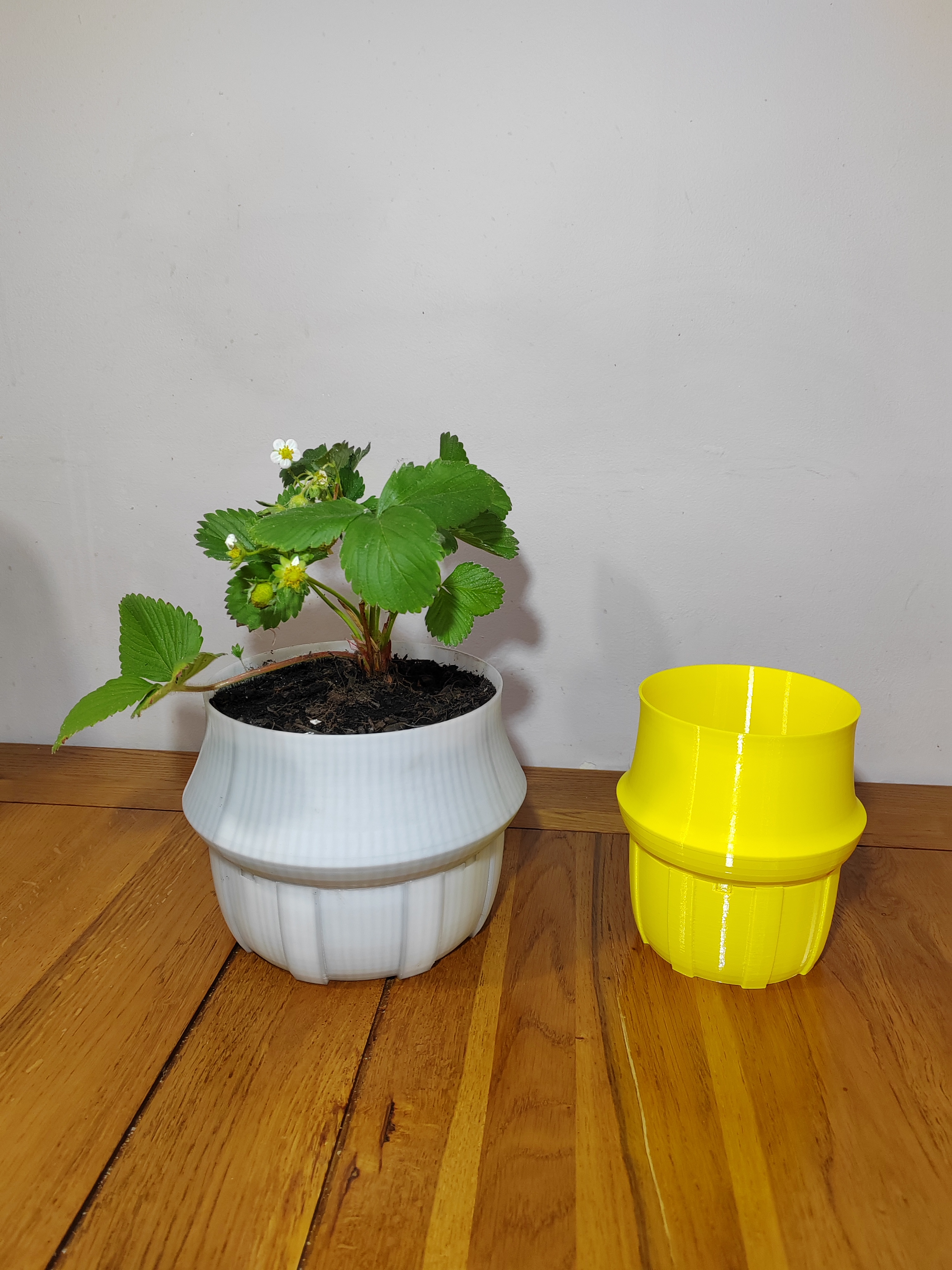 Self watering plant pot