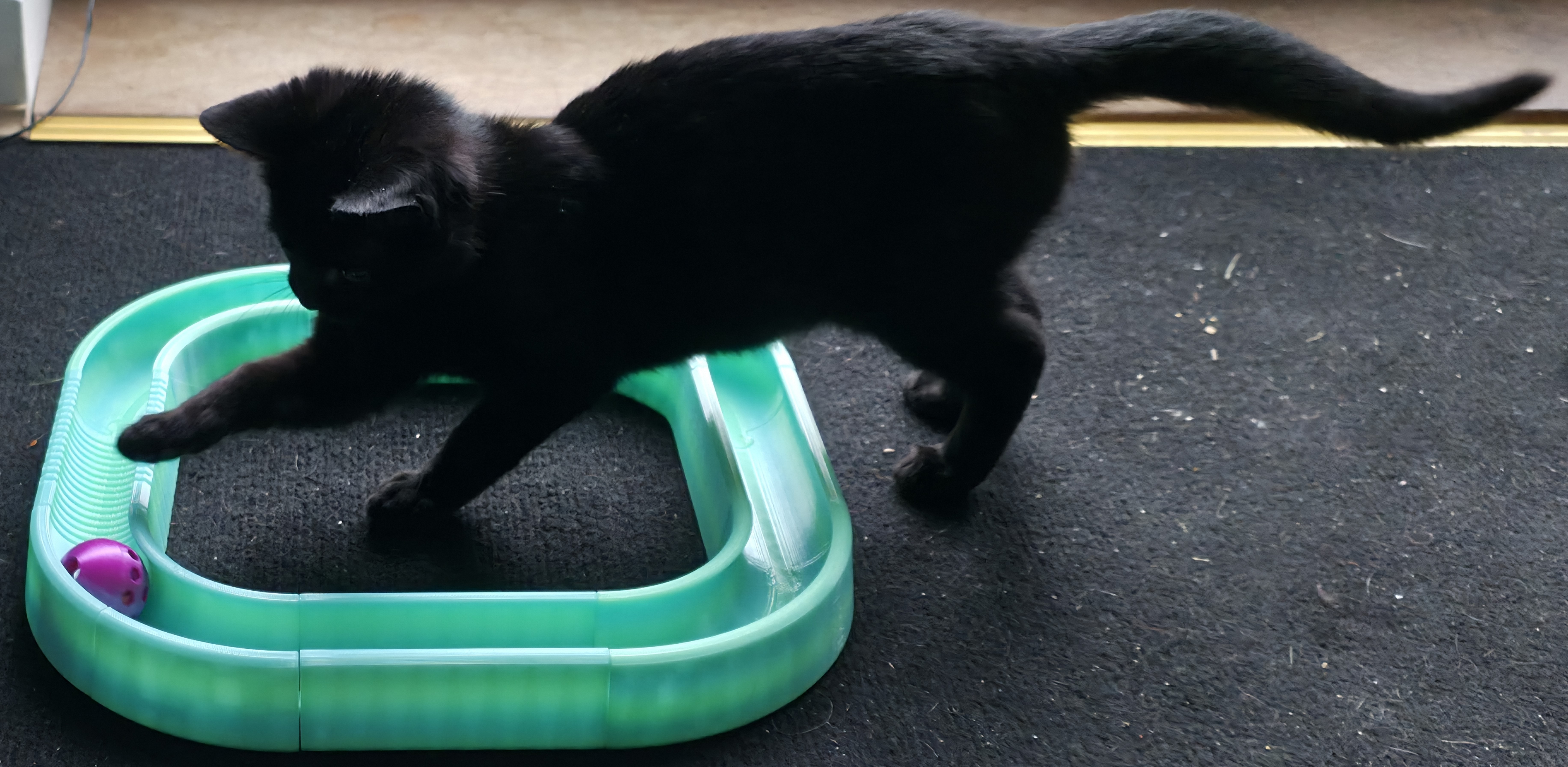 Track ball cat toy