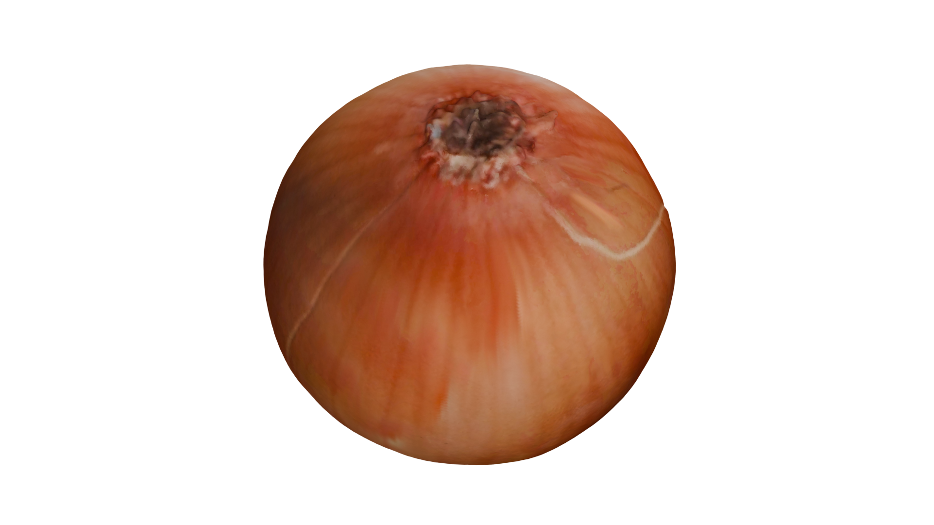 Small White Onion Scan