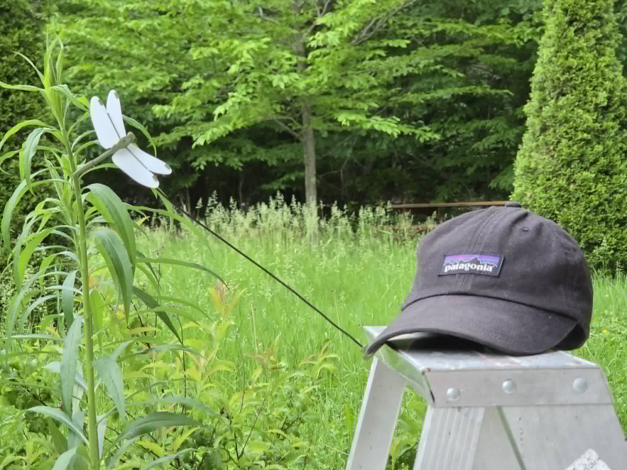 Dragonfly Mosquito Repellent - Hat Clip
