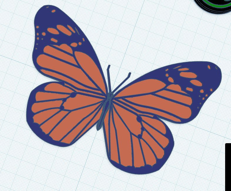 Butterfly