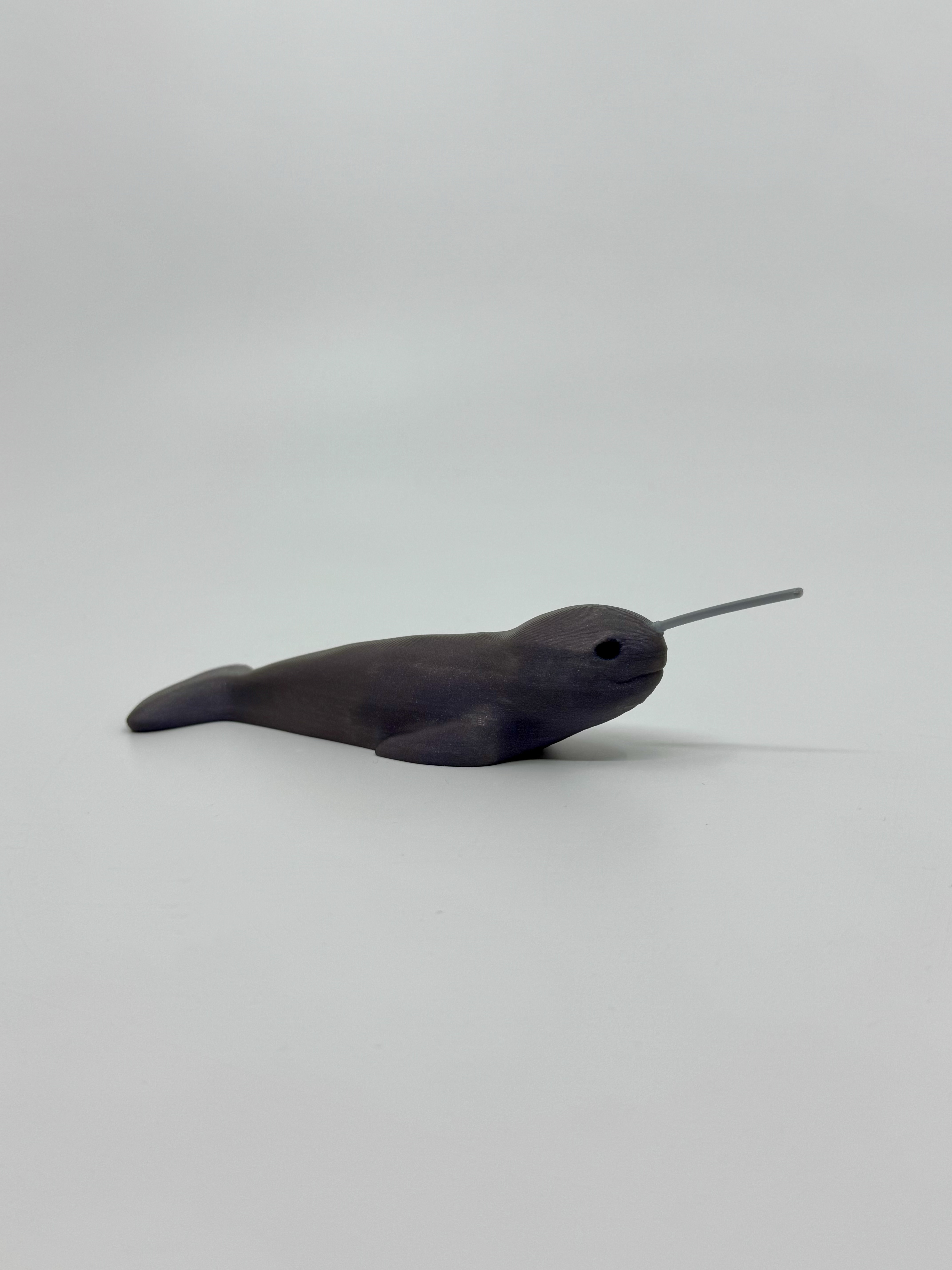 Narwhal