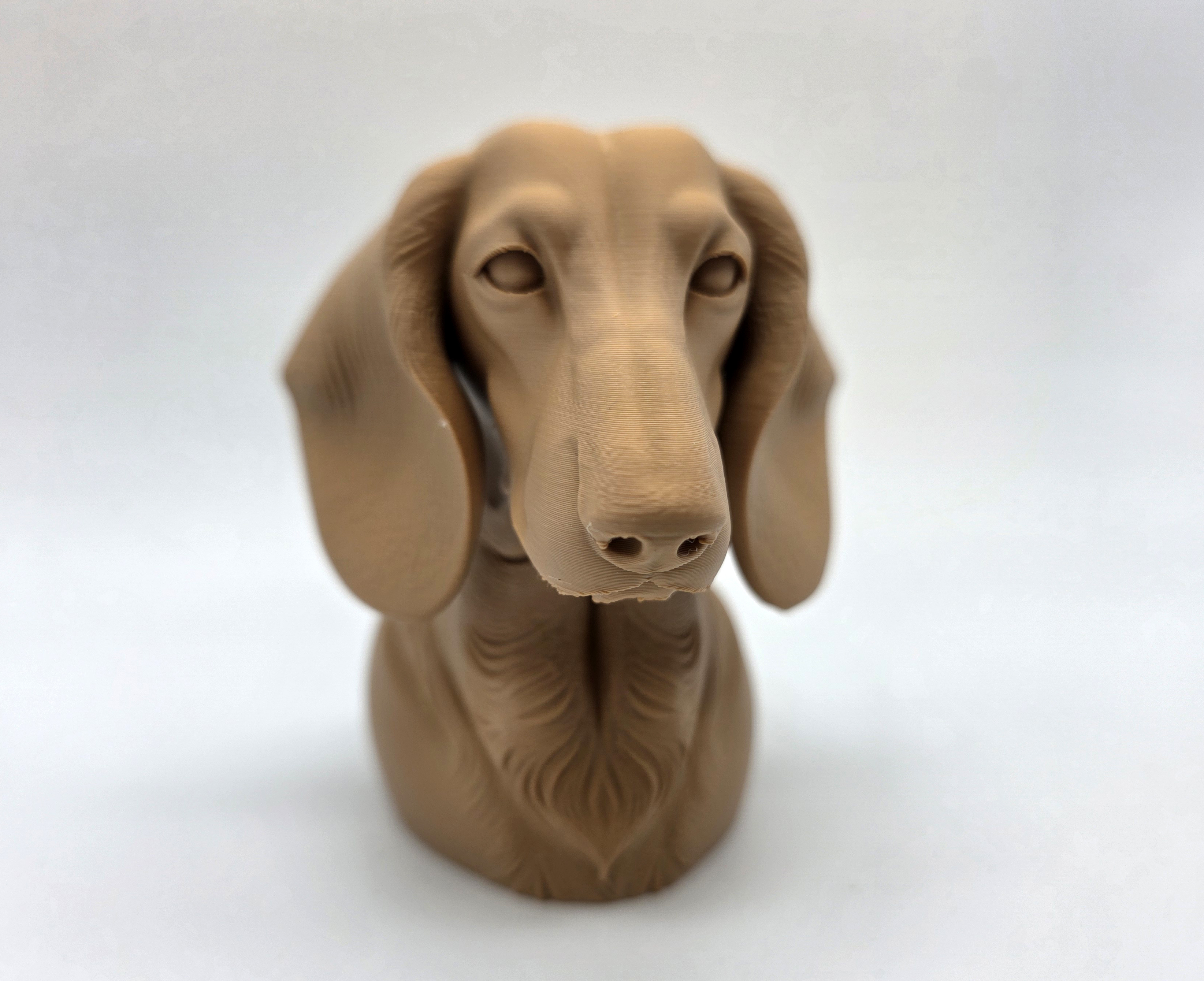Dachshund Bust — miniatura 8