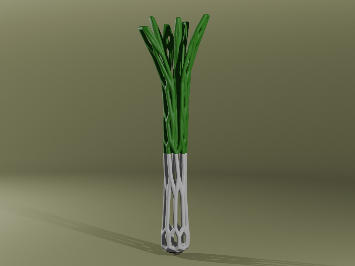 Leek Voronoi