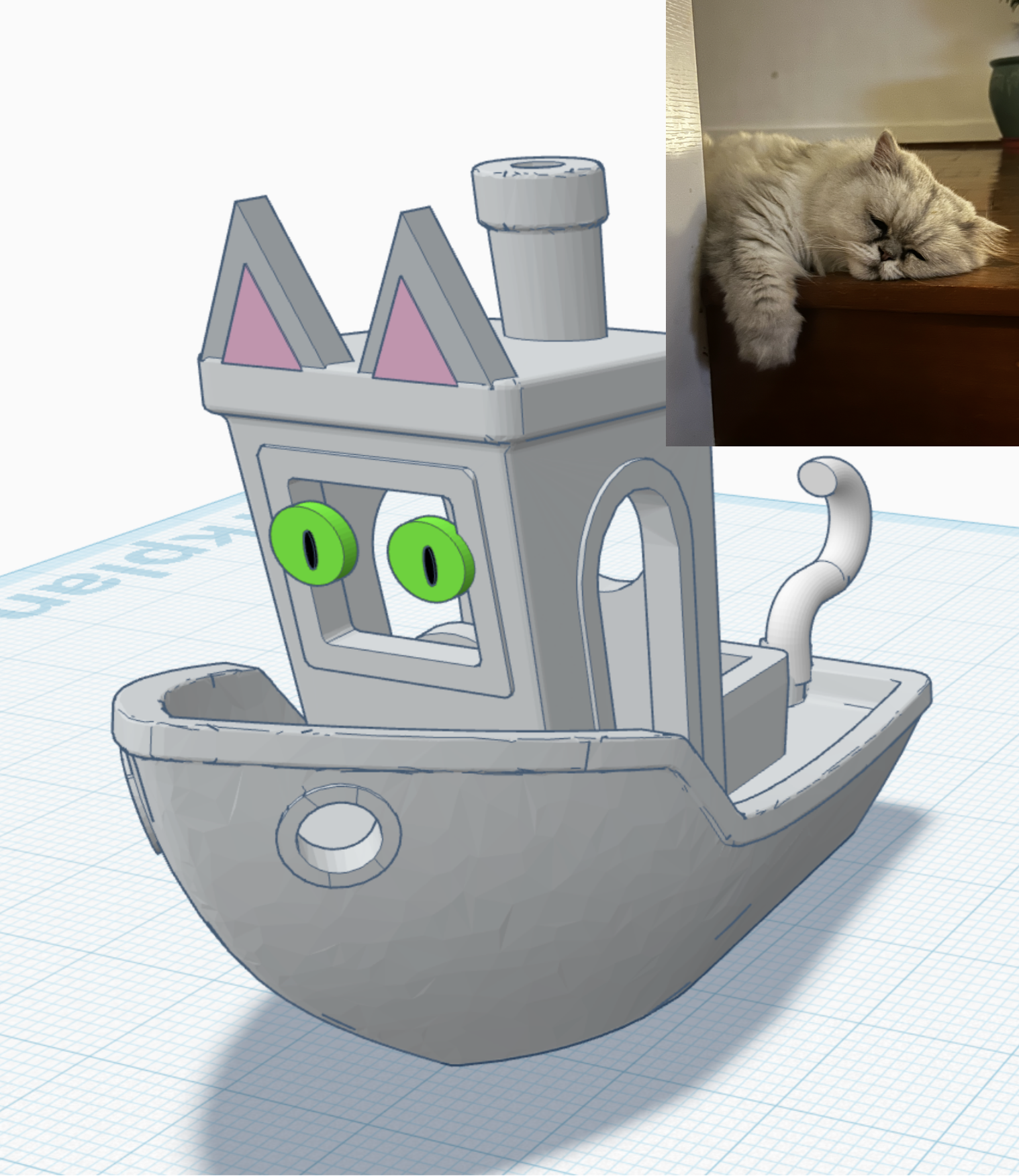 cat benchy