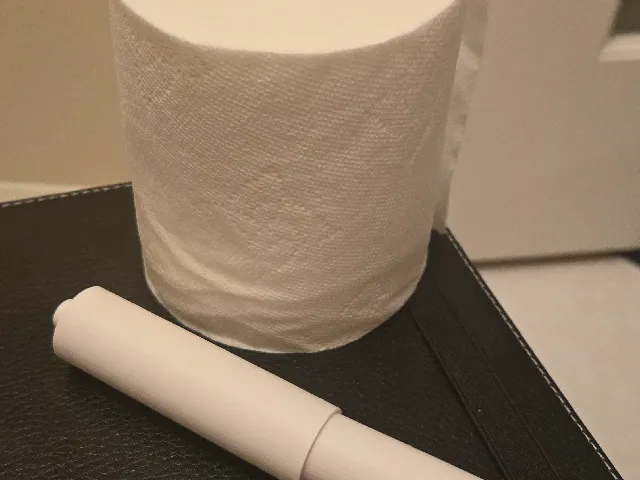 Toilet Roll Holder Spool using Spring