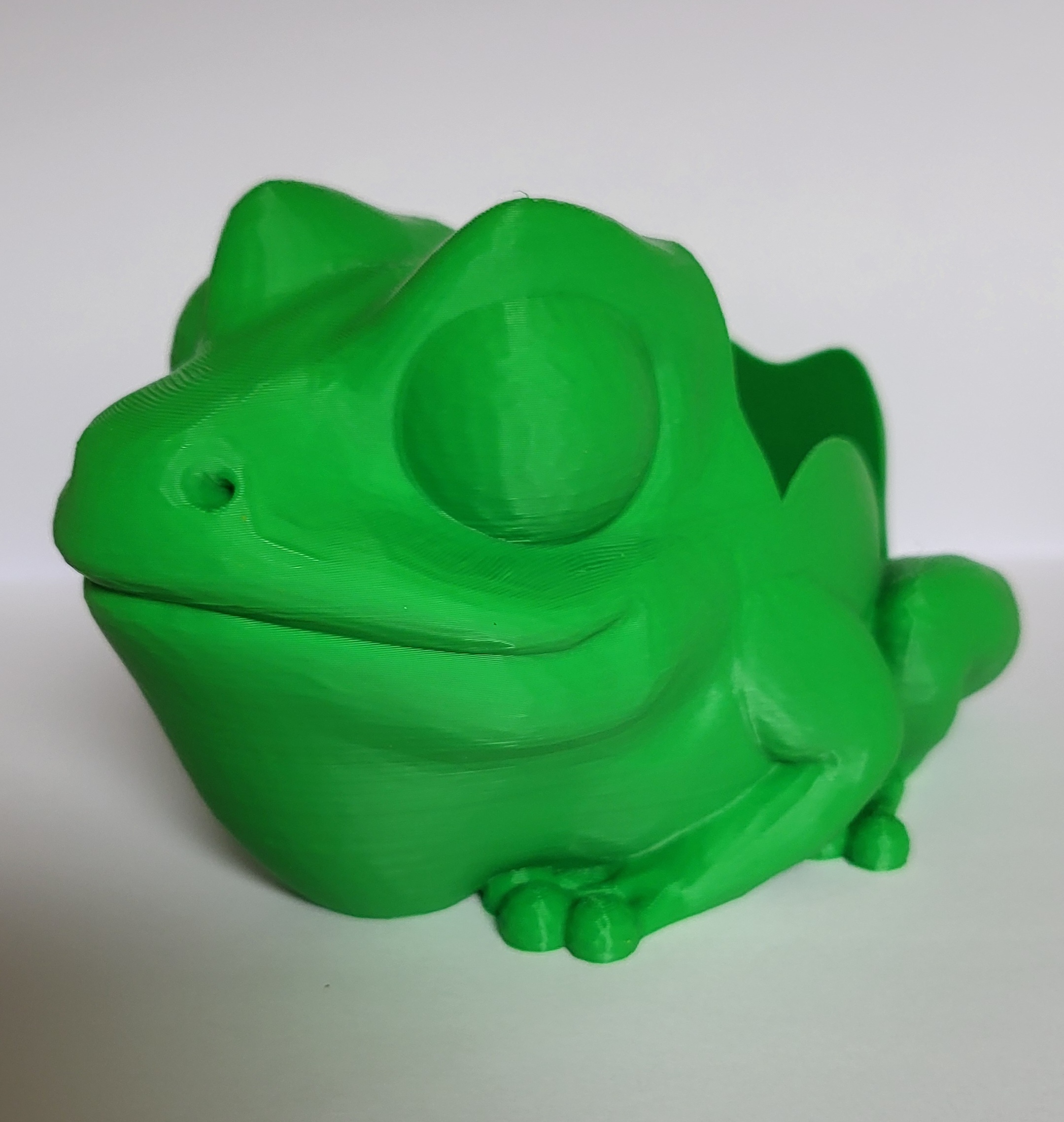 Bull Frog Soap Holder