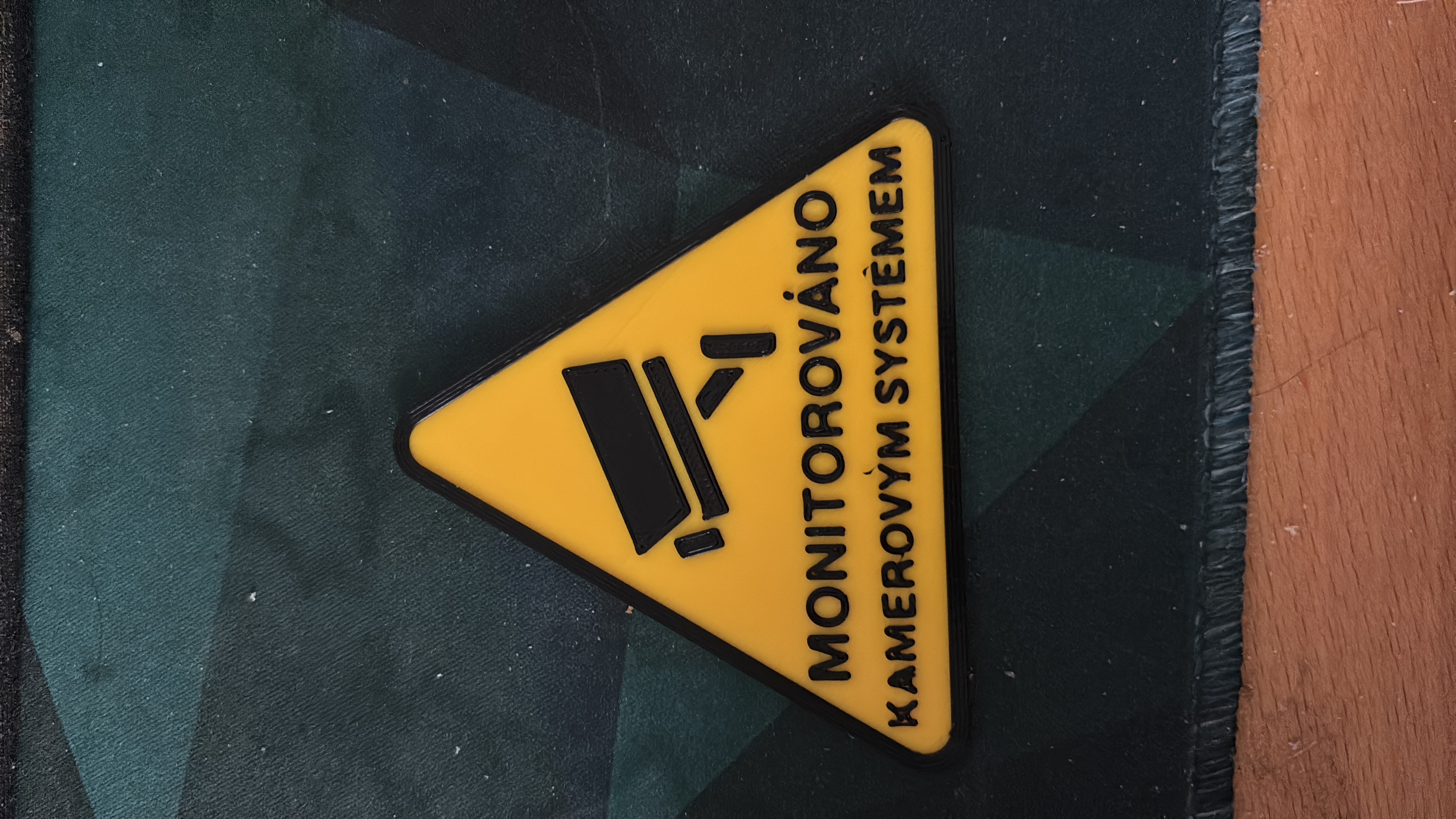 Camera monitoring warning