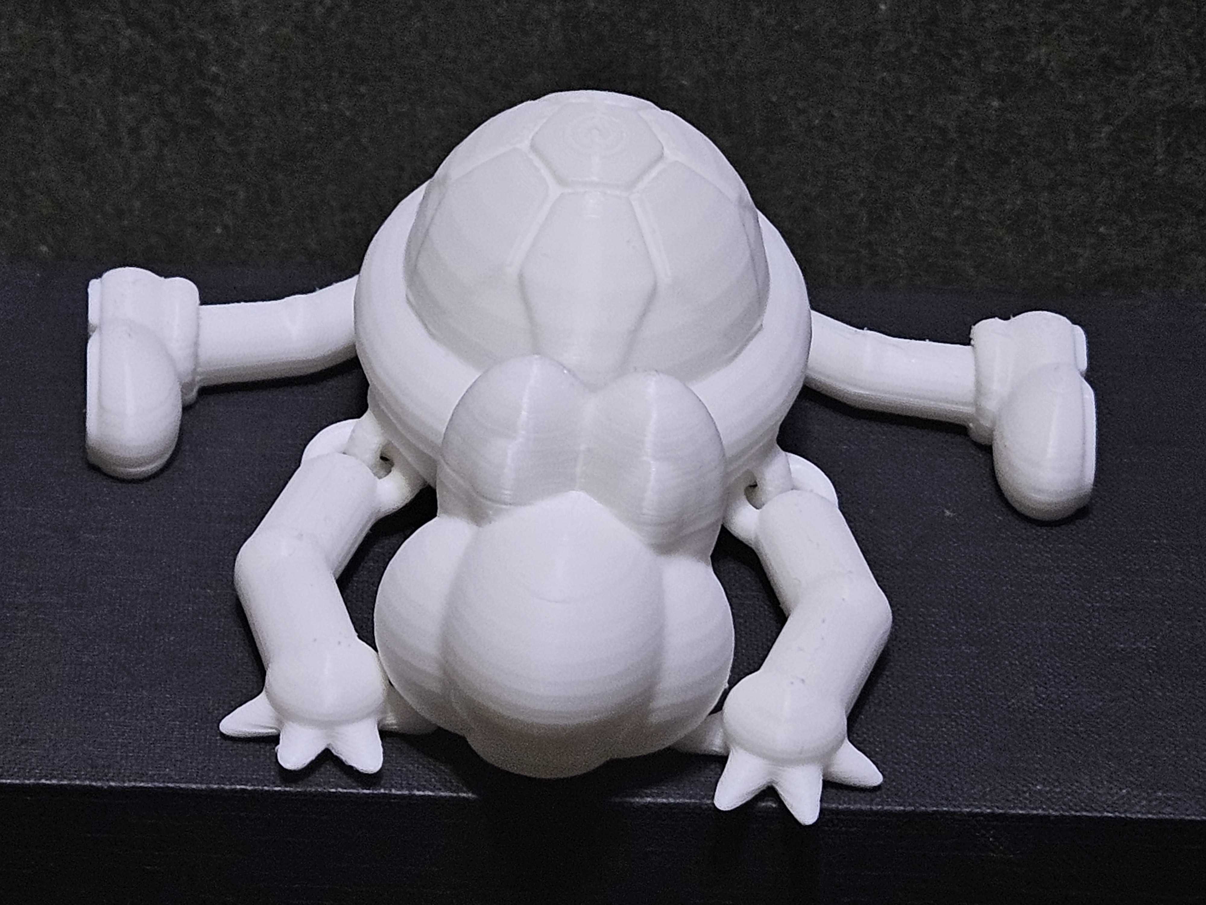 Miniatura 5 do modelo 3D Articulated Turtle