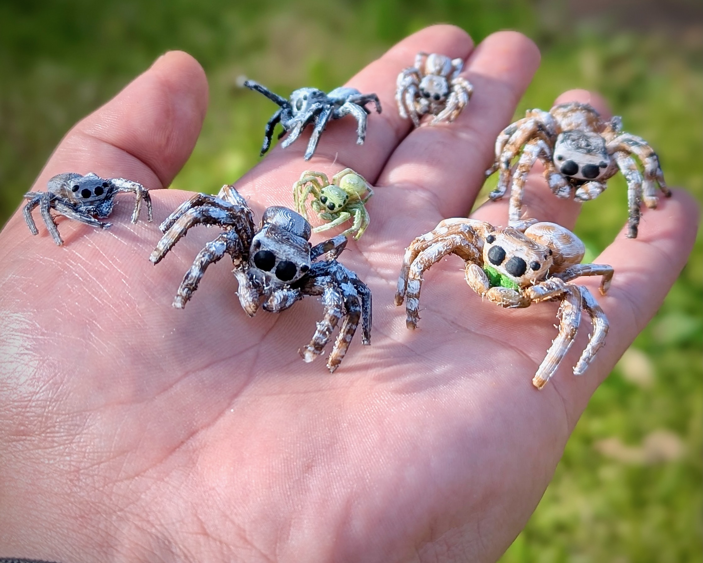 Jumping Spider 3D model thumbnail