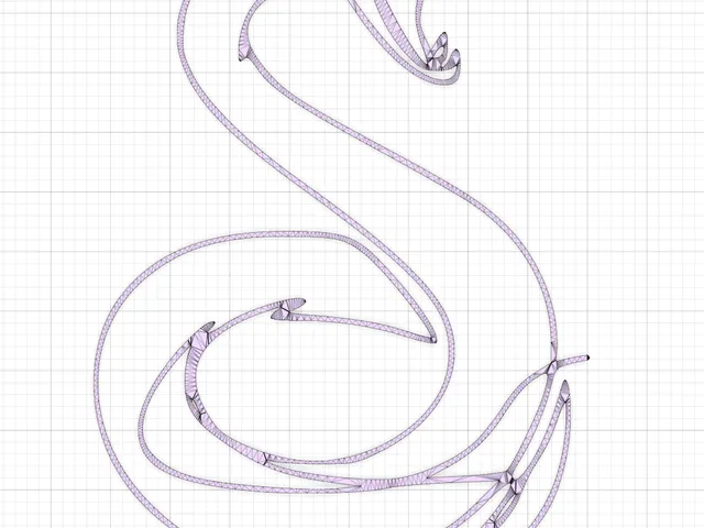 Snake Outline Wall Art