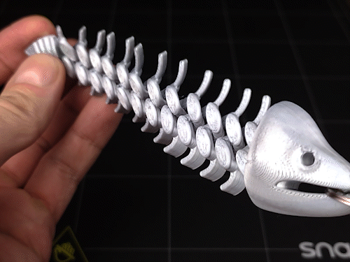 Flexible Moray Eel (chain)