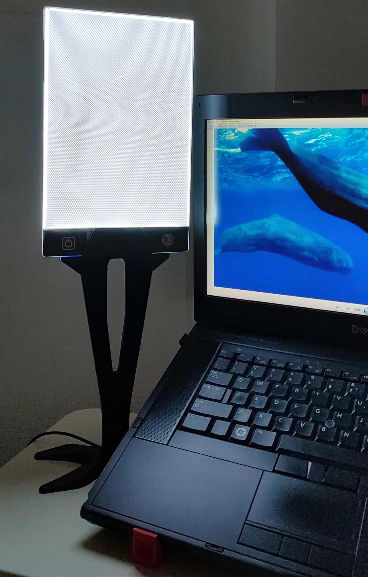 Light PAD, holder / lamp