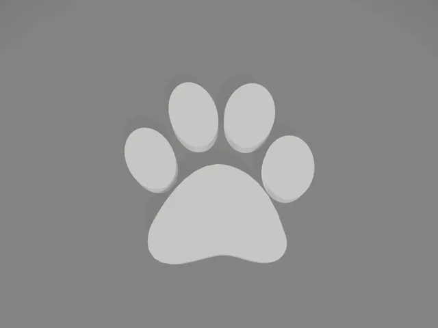 Dog's paw