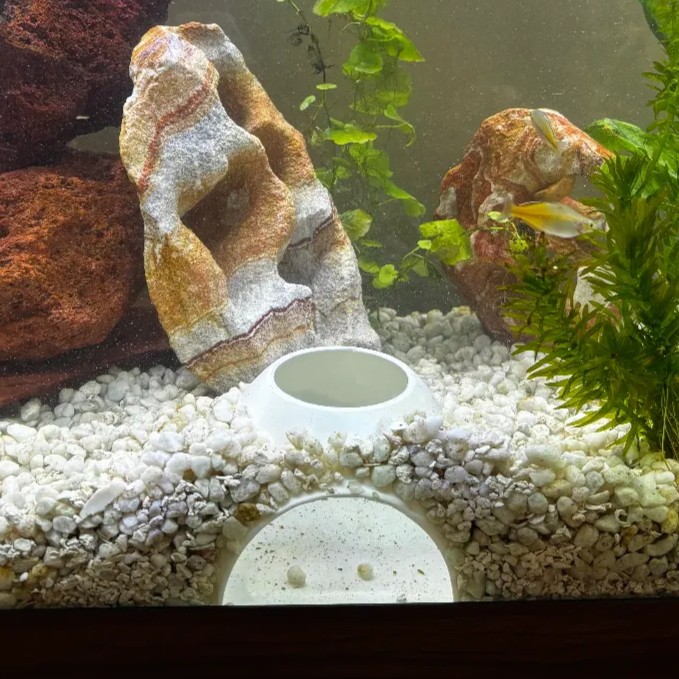 Fish tank underground hiding cave with floor