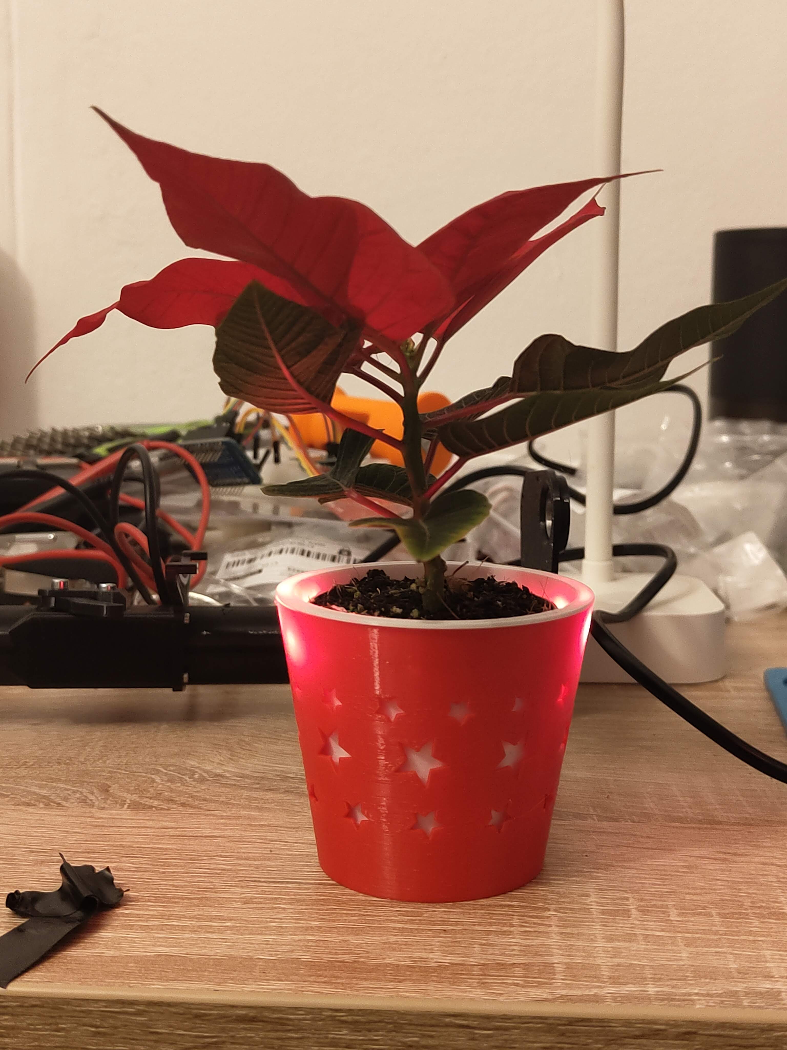 Christmas pot with LEDs