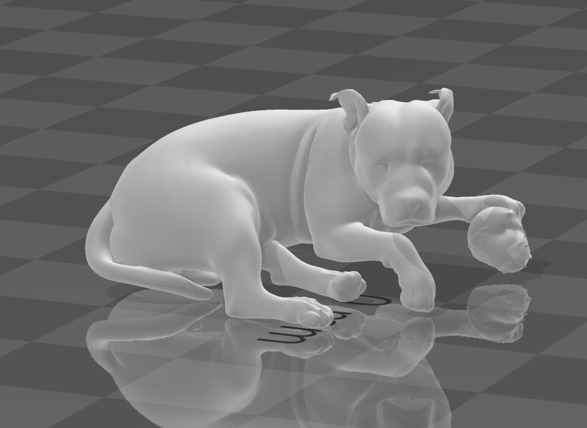 AMERICAN BULLY DOG
