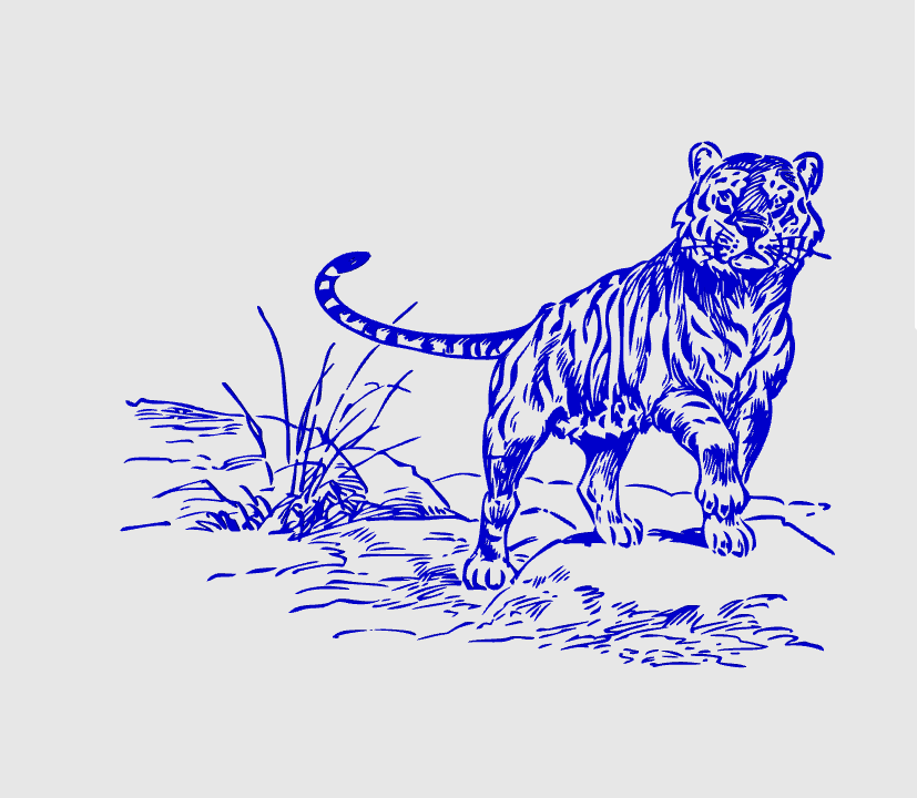 wall art tiger