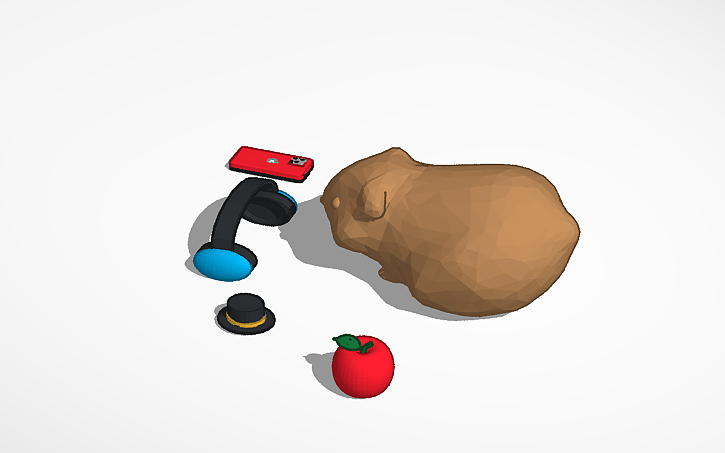 Guinea Pig w/ accesories