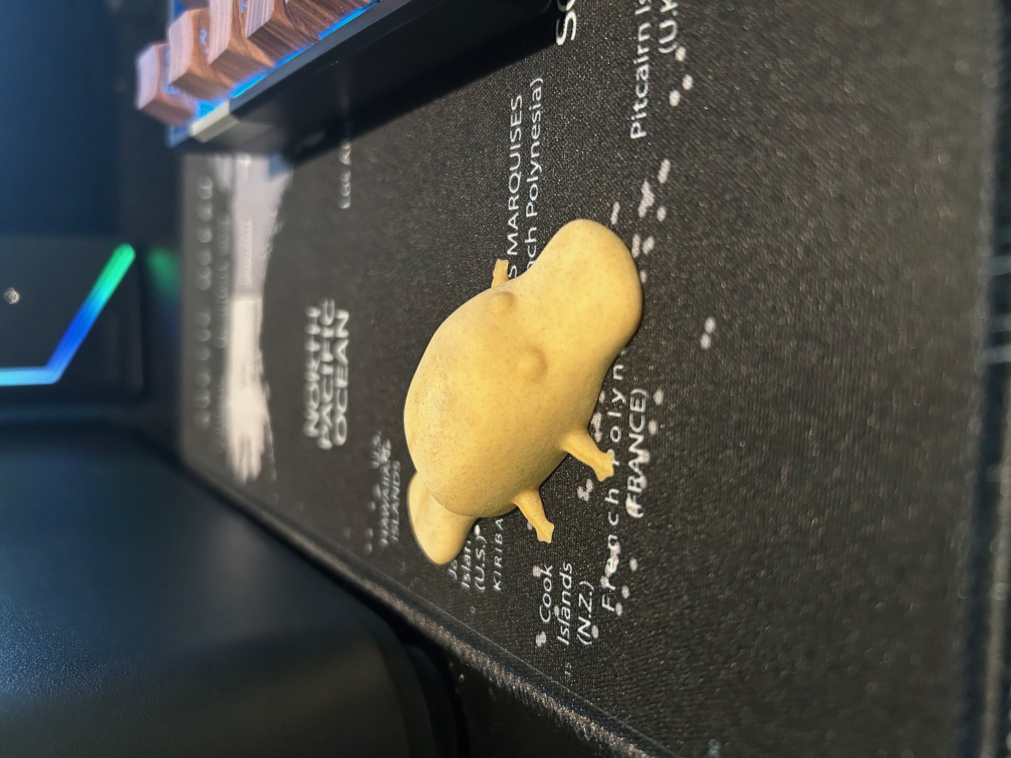 Chubby Platypus