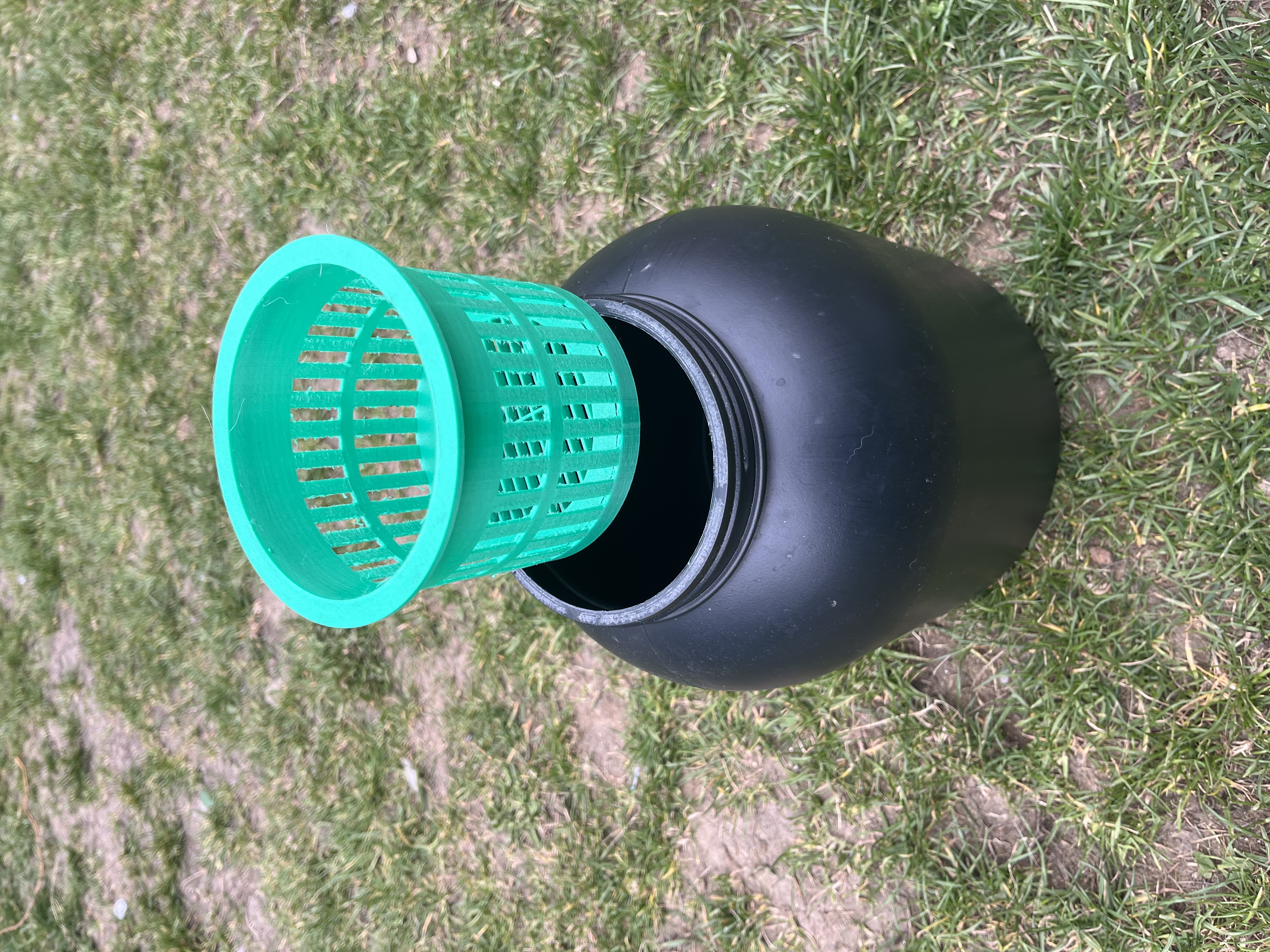 Hydroponic basket for a protein container