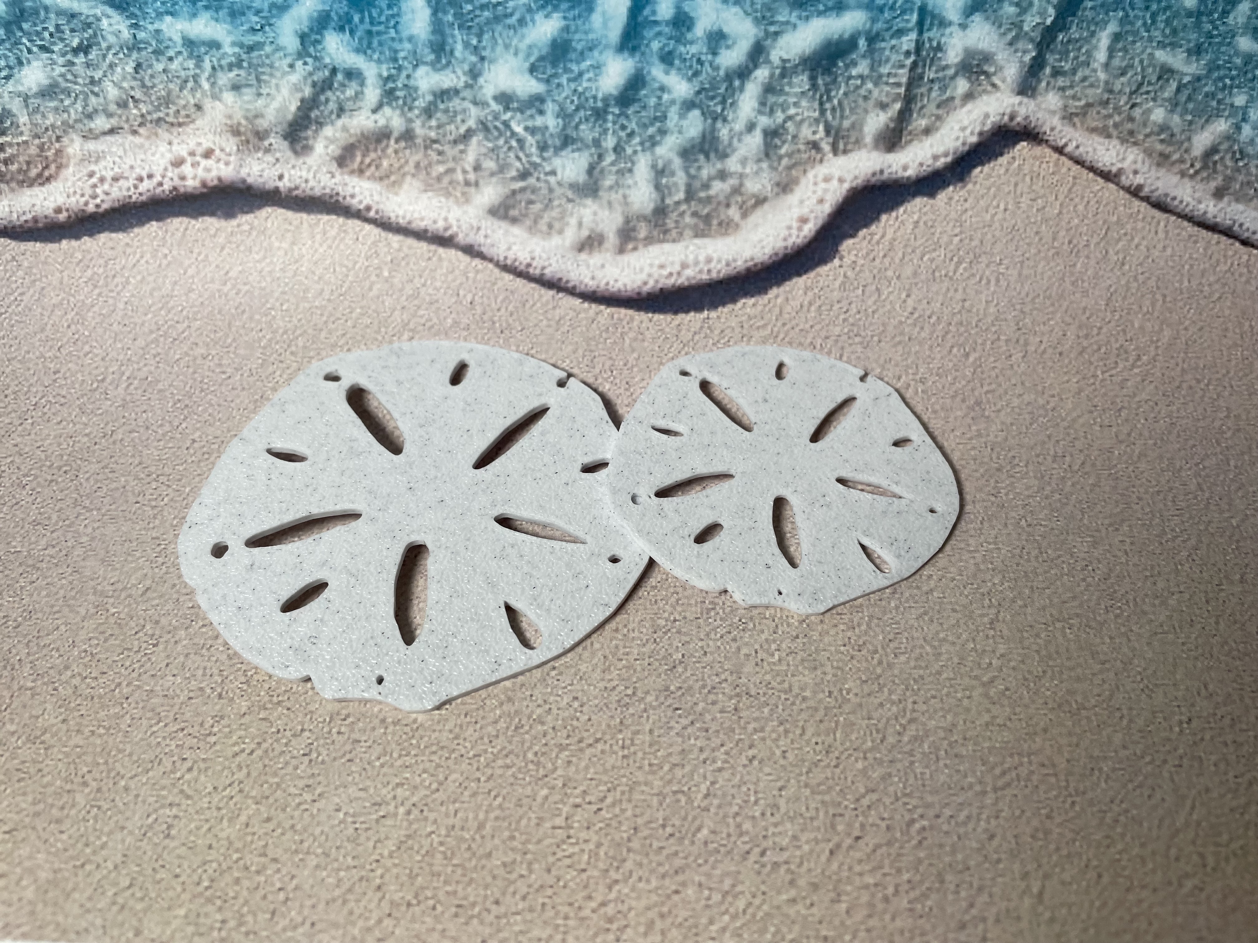 Sand Dollar