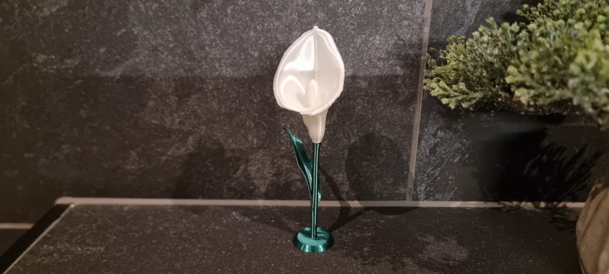 Miniatura 3 do modelo 3D Calla Lily