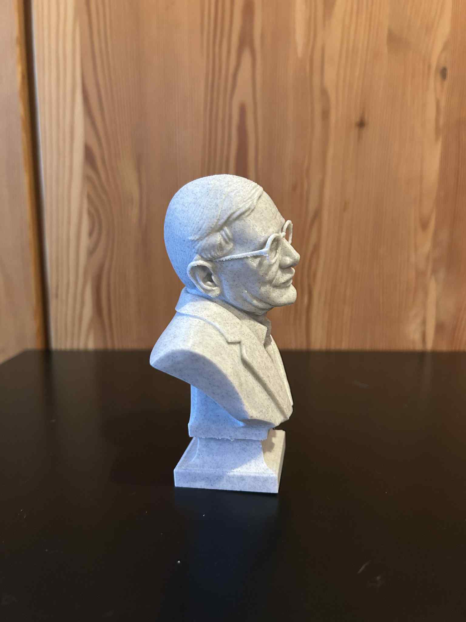 Stephen William Hawking – Bust — miniatura 3