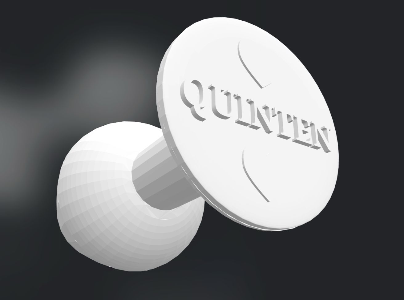 Personalized Name Plug Quinten