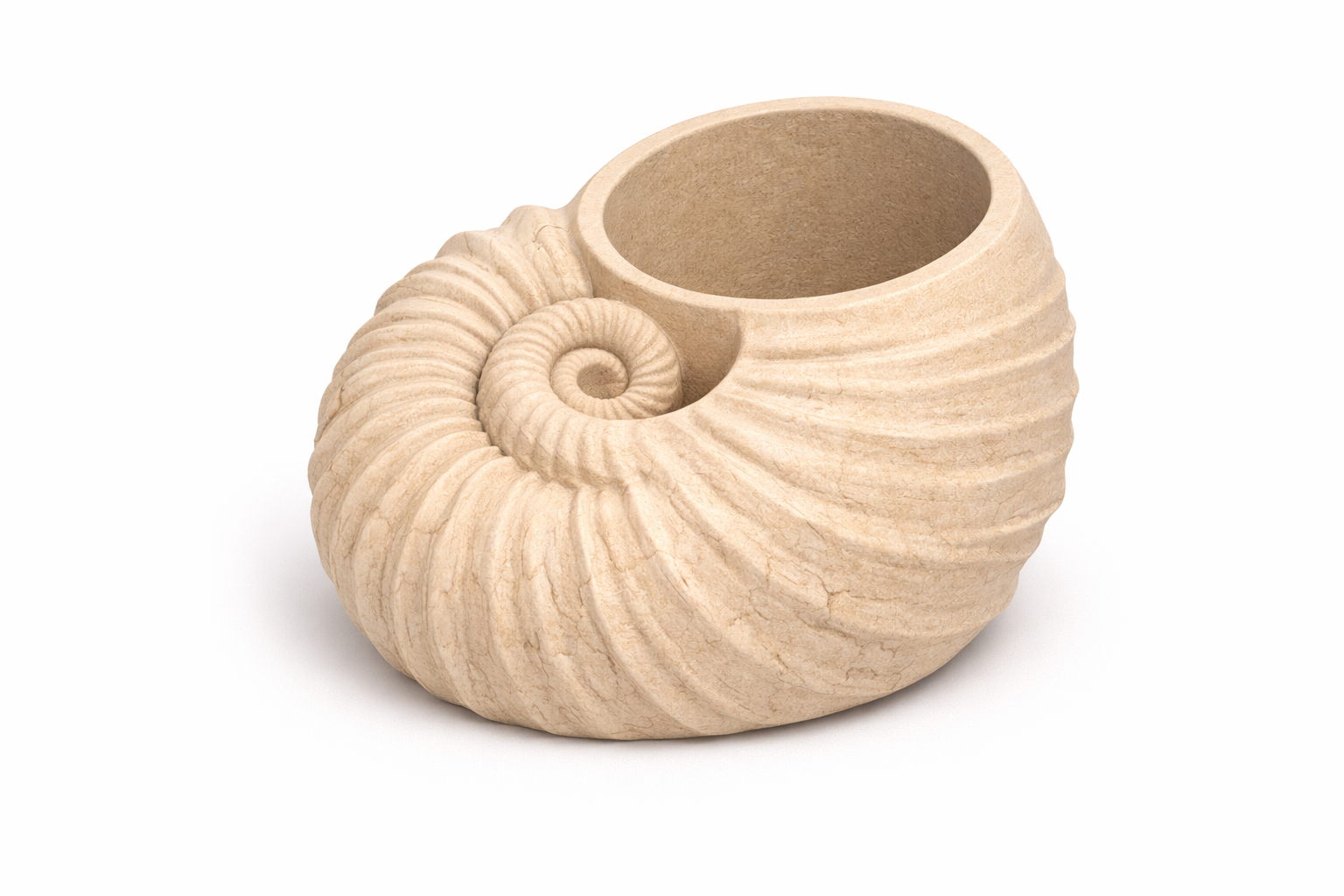 Nautilus Shell Desk Organizer – Minimalist Single Color 3D Print