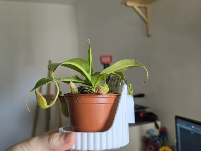 Wall plant pot holder