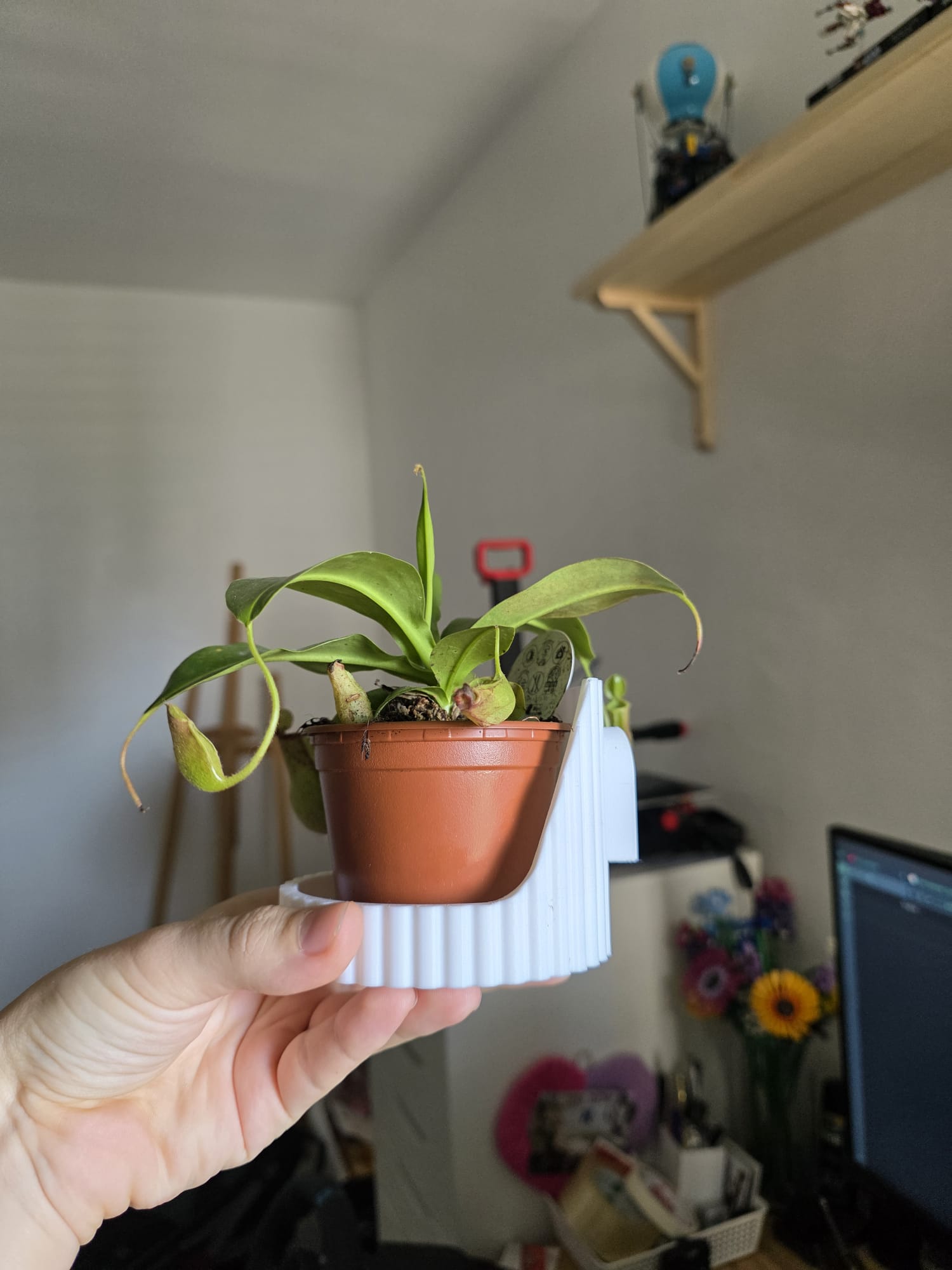 Wall plant pot holder