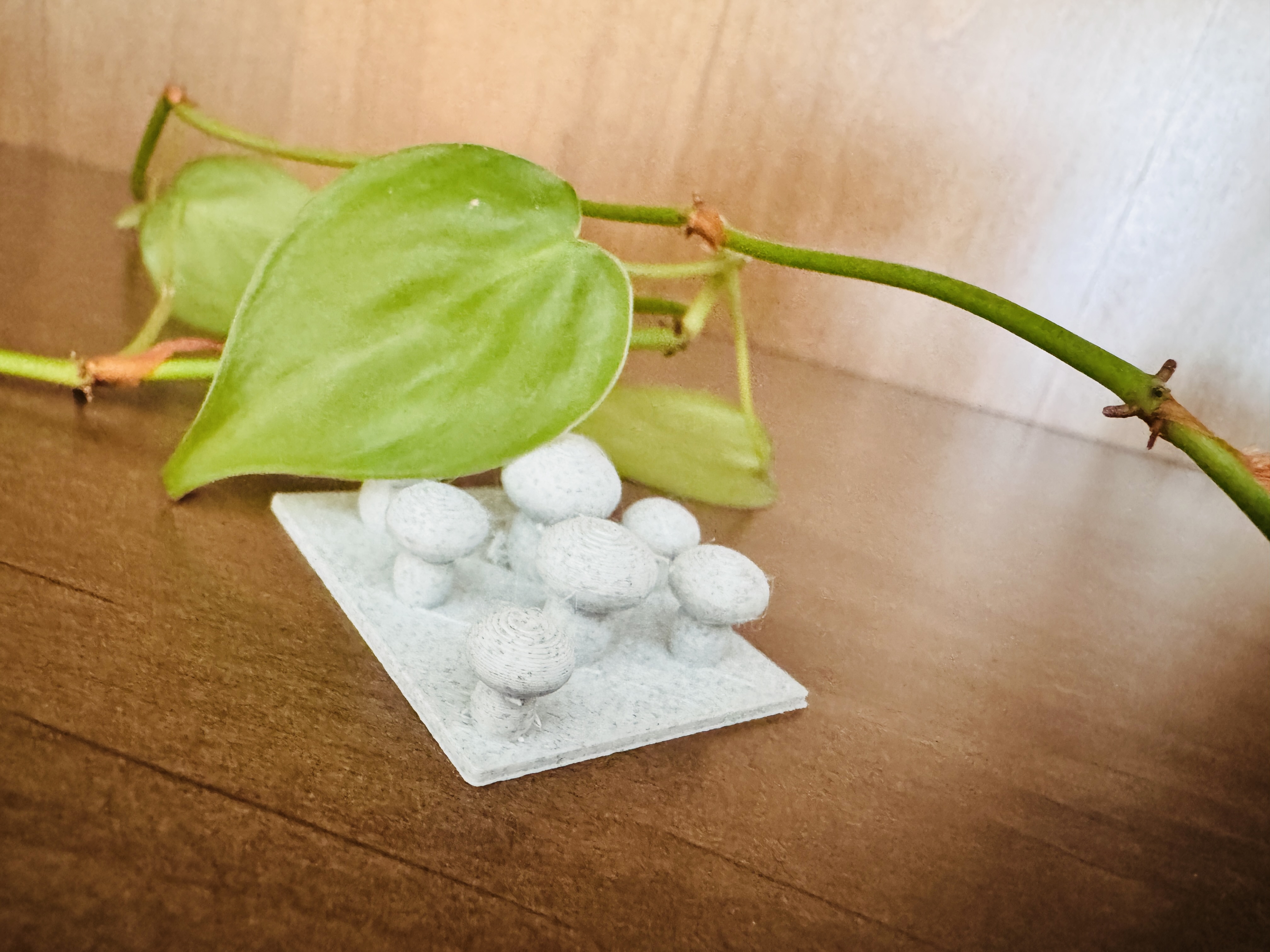 Mushrooms — miniatura 3