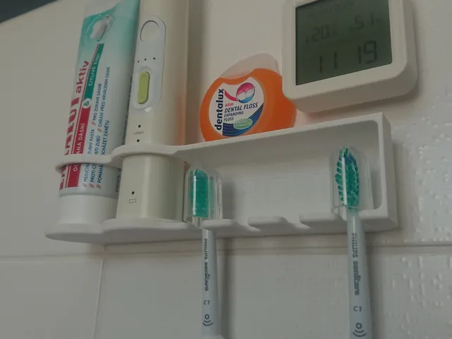 Toothbrush holder