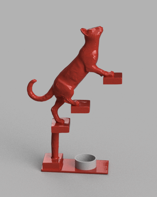 Climbing Cat