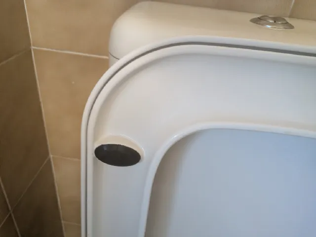 WC Rubber Buffer