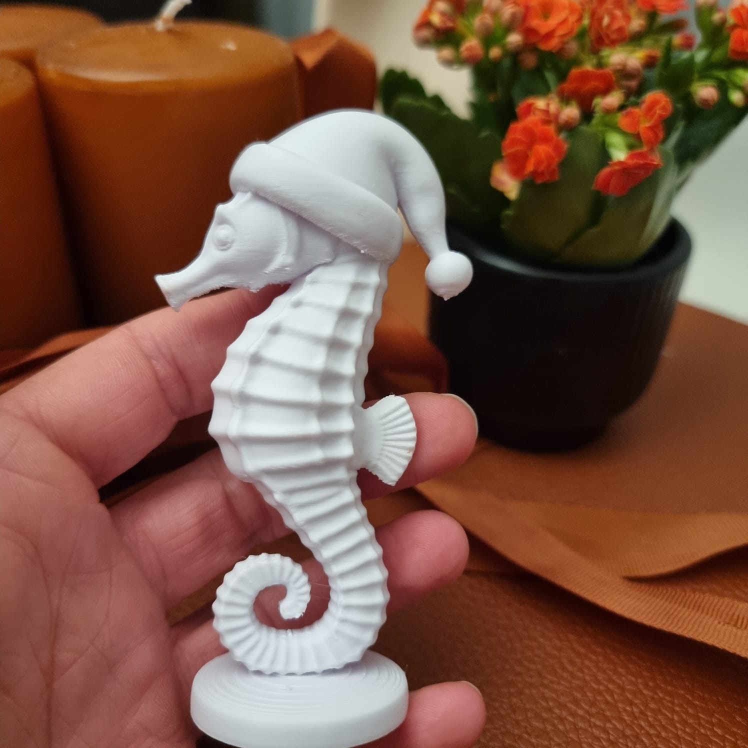 Seahors with christmas hat