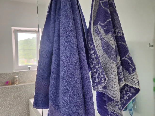 Towel Hanger for shower screen