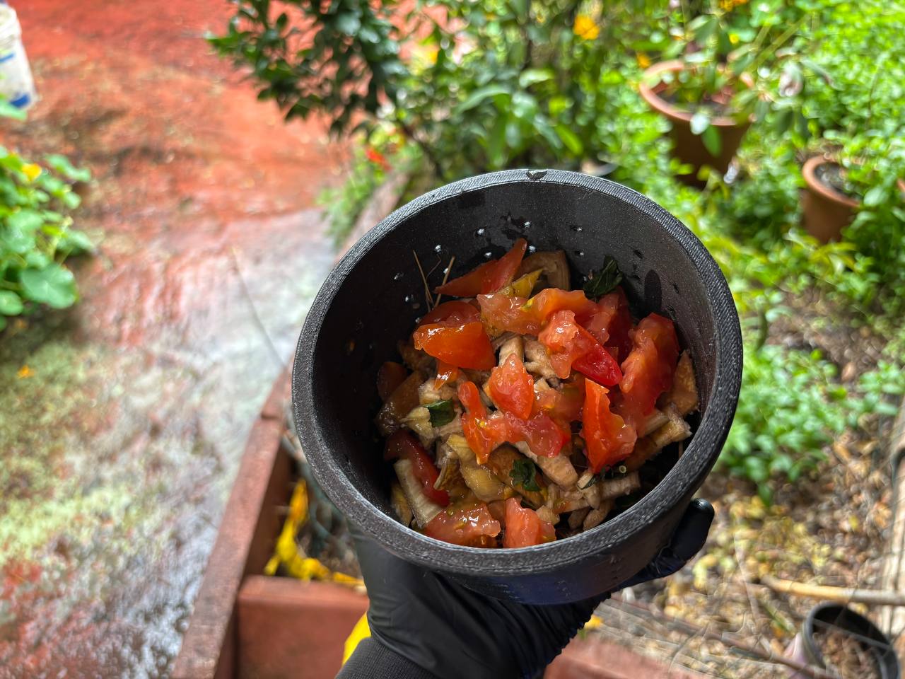 Mini Composter – For Home & Learning — thumbnail 2