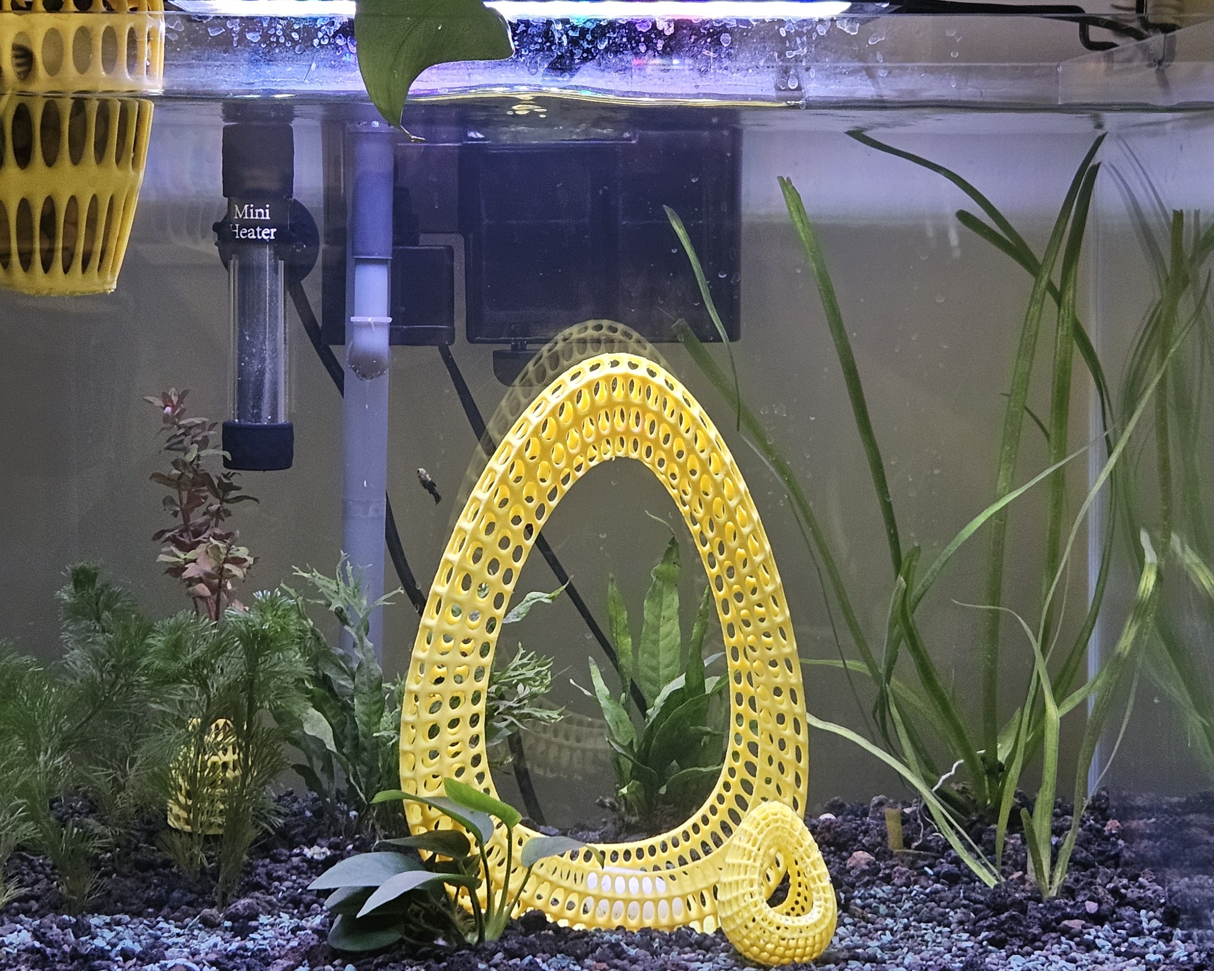 HiveEGG PortalV1 (Aquarium / Home Decor Arch)
