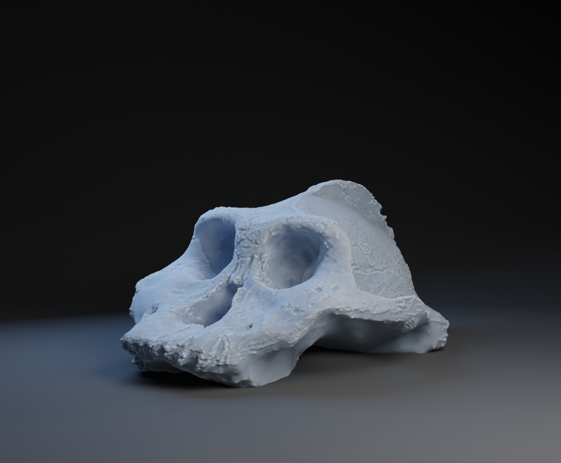 Paranthropus Aethiopicus 3D model