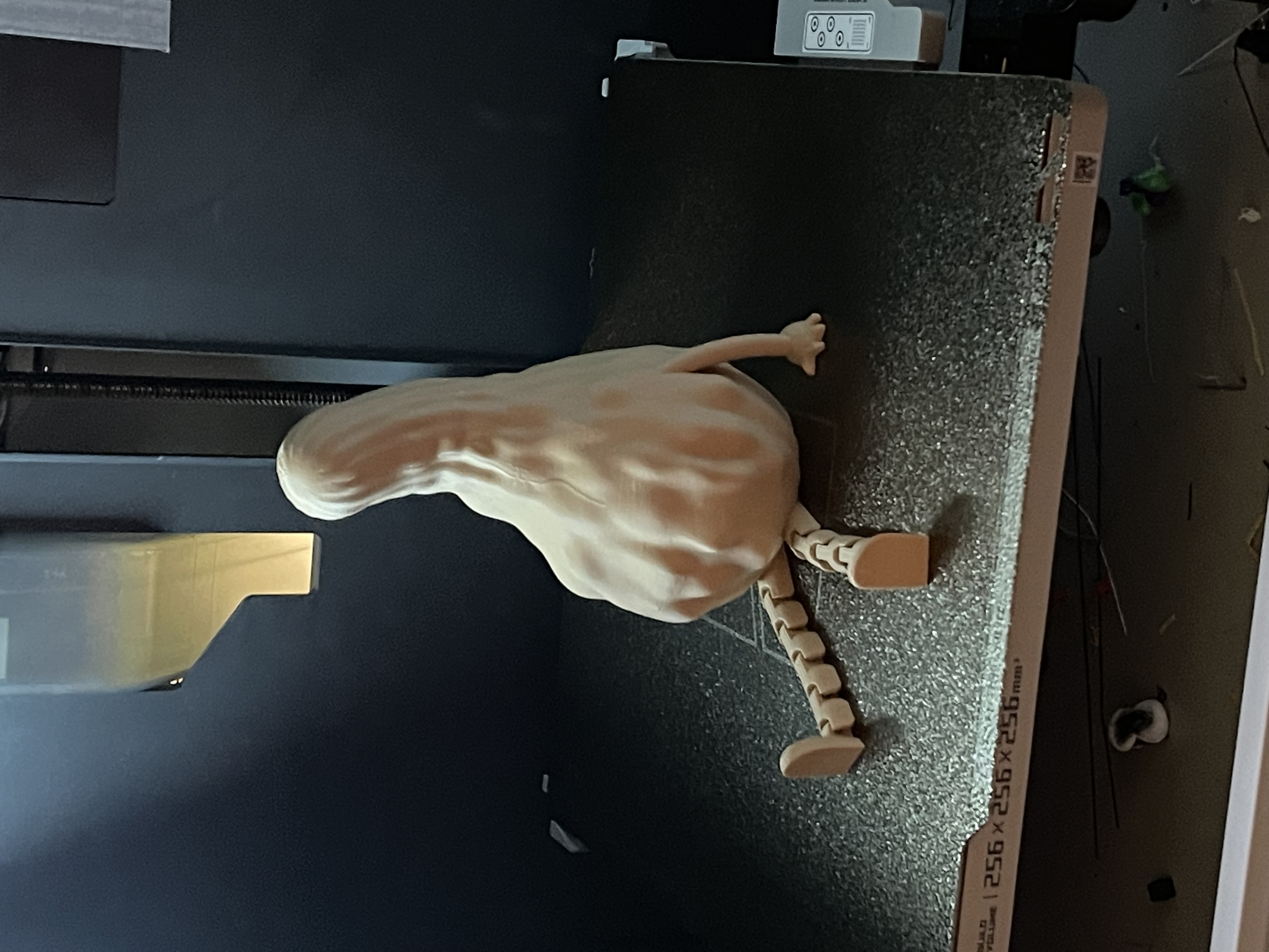 Friendly Articulated Squash