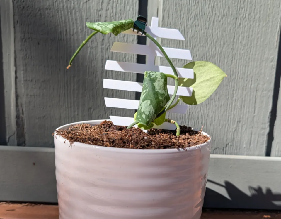 Leaf trellis plant support