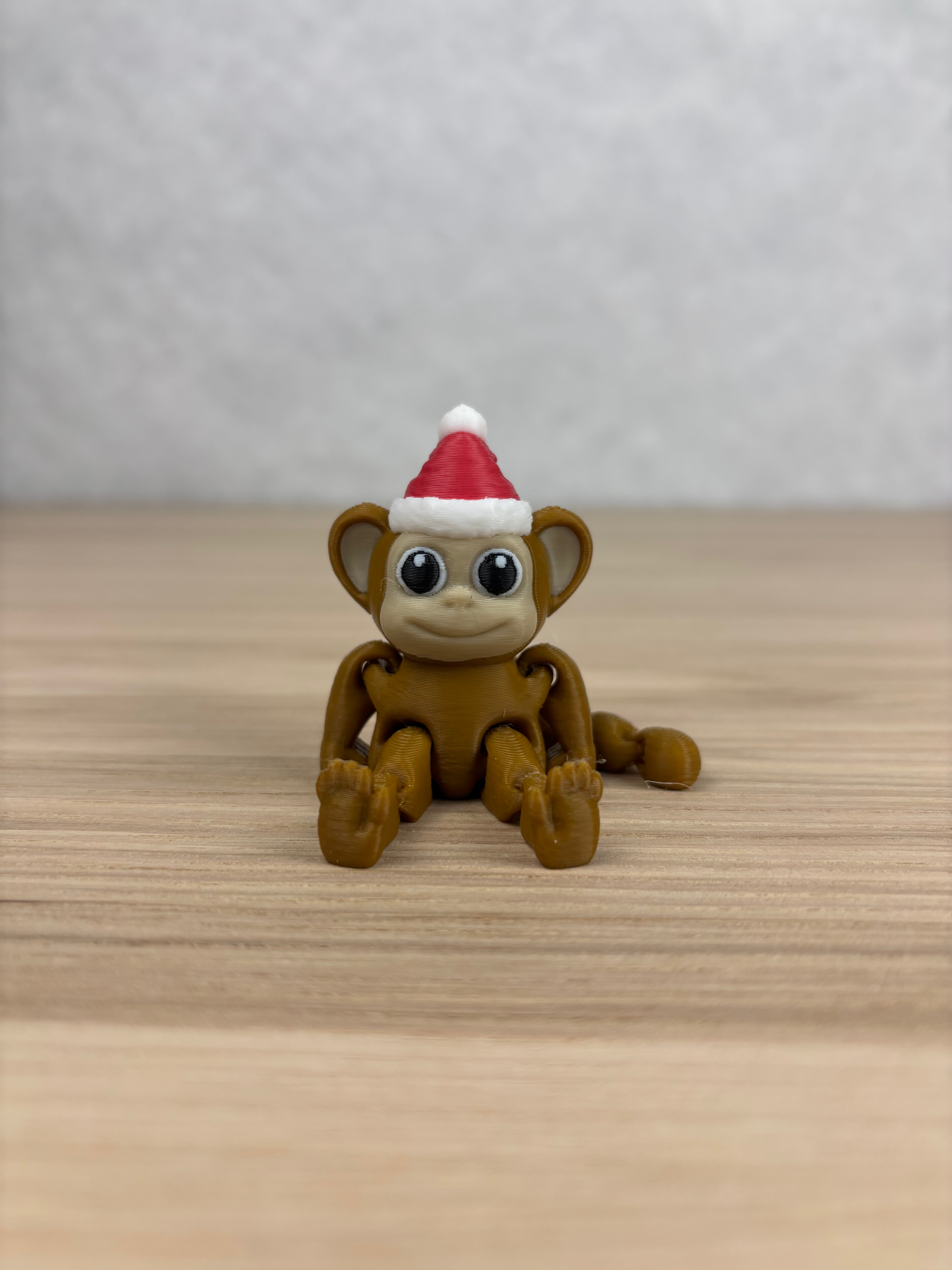 Monkey with Christmas Hat