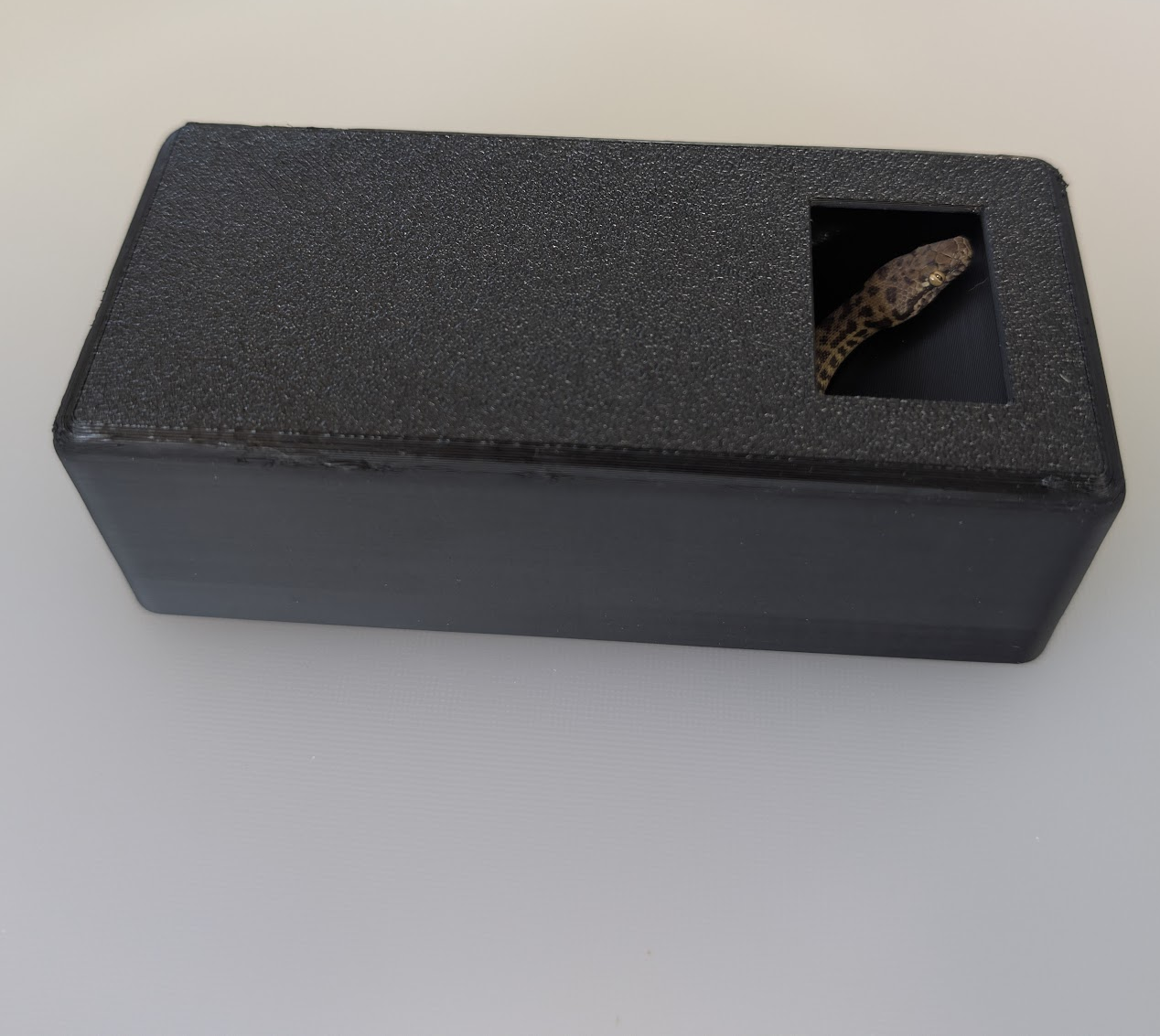 Reptile hide for Hatchling Snakes