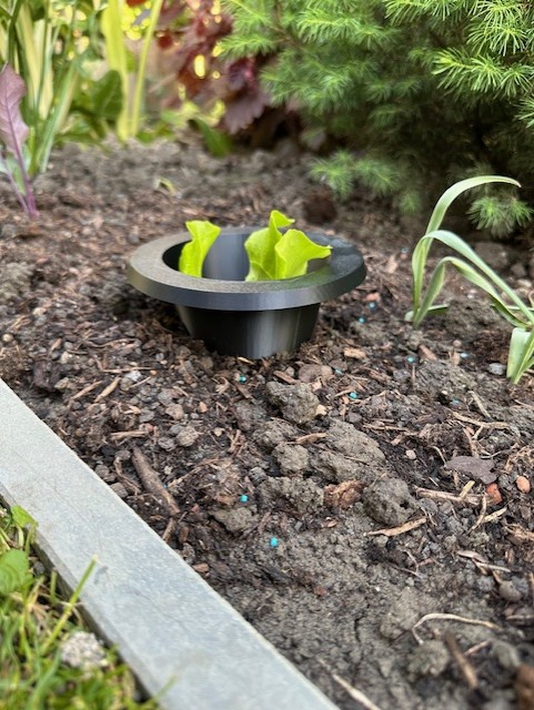 Slug Protection Ring for Seedlings – Stackable