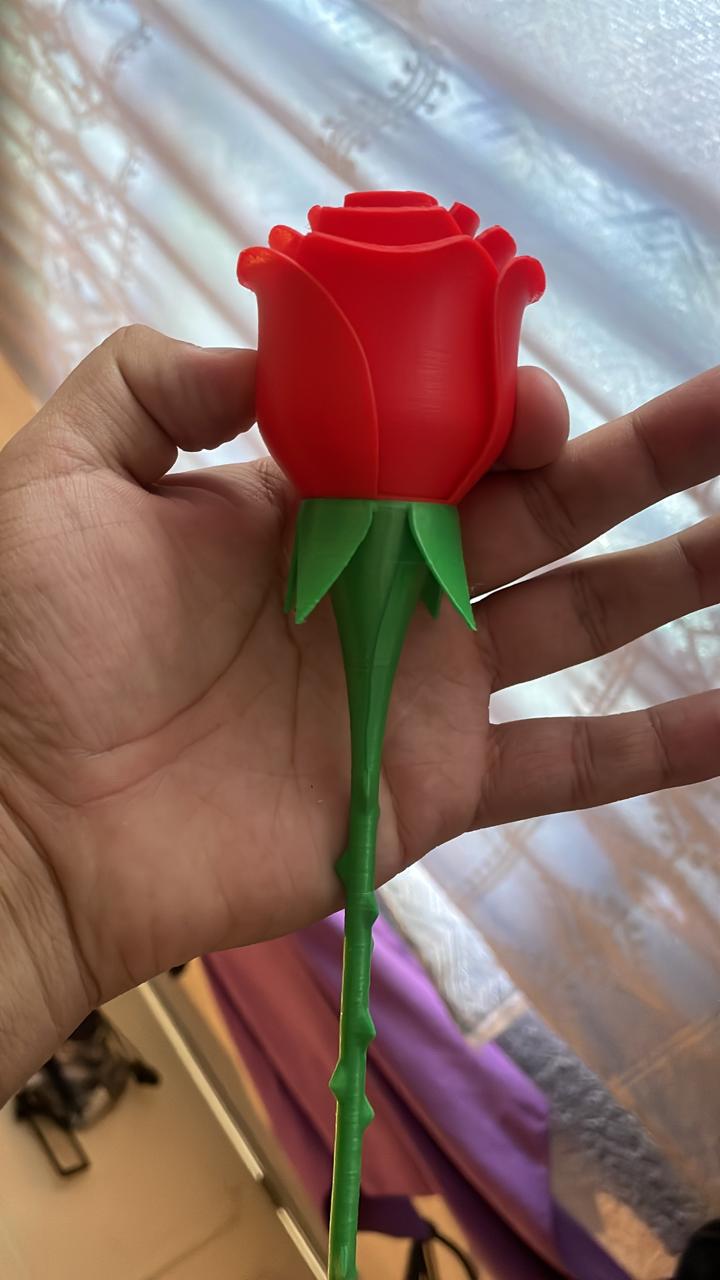 ROSE - NO glue REMIX+
