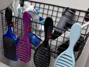 Hairbrush organizer