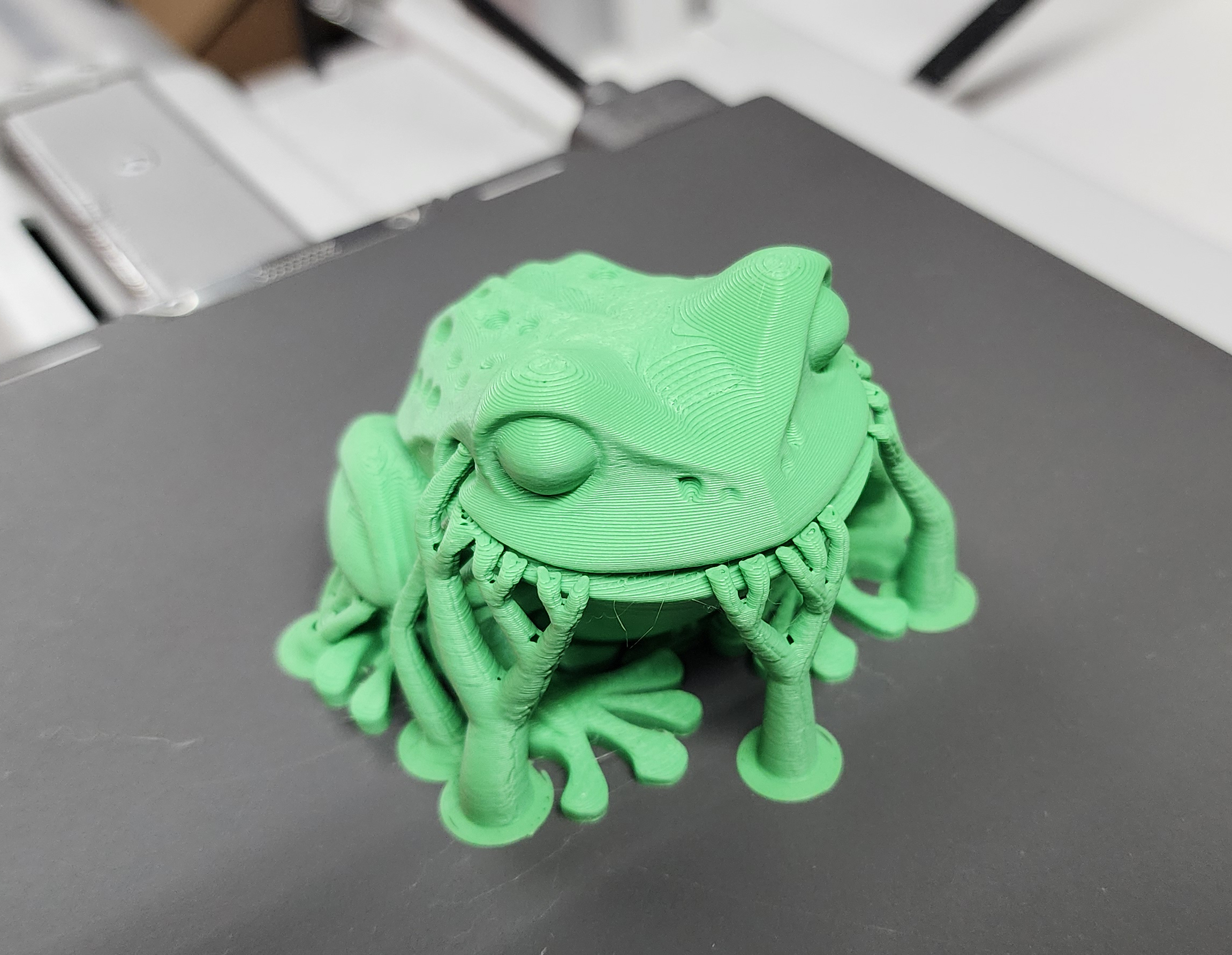 Flat-bottom Toad — thumbnail 9