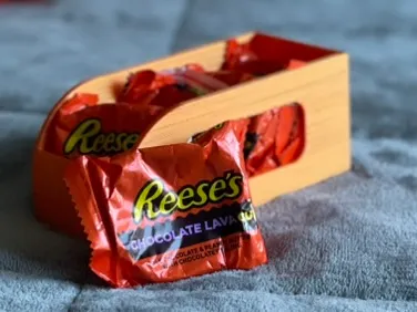 Reese's Holder Inside Mini Fridge v2